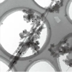 200-300 Sietu Vara Režģis Microgate Oglekļa Atbalstīt Filmu TEM Pārvadātājs Acs Atbalsta Membrānu Elektronu Mikroskopijas SEM Palīgmateriāli